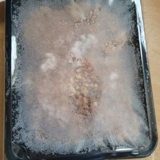 히야호님이 올린 리뷰 사진 2