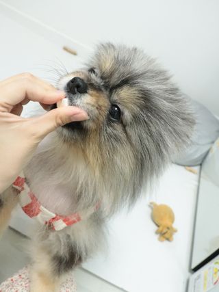 오코리타님이 올린 리뷰 사진 4