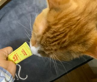 냠냠잉님이 올린 리뷰 사진 3