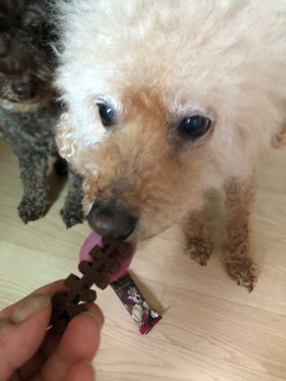 혜윰수학님이 올린 리뷰 사진 1