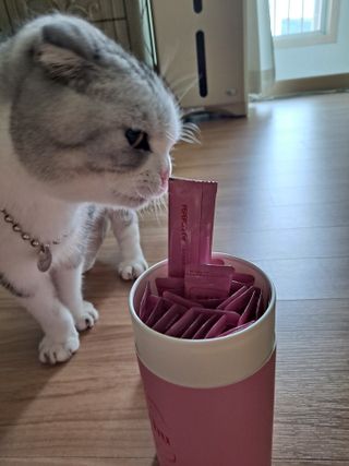 페페로니 잘 먹는 캣츄 - 알래스카 연어 24개입 — 5점을 준 리뷰어가 2021년 7월 올린 사용 사진