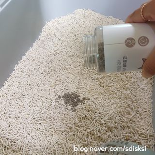 sdisksi님이 올린 리뷰 사진 2