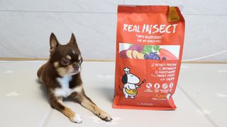 [푸디웜] 라포그  리얼인섹트 관절 저알러지 강아지 사료  1.2KG — 5점을 준 리뷰어가 2022년 8월 올린 사용 사진