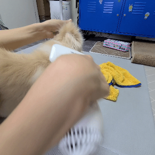 코코민네님이 올린 리뷰 사진 3