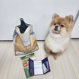 캐닌캐비어 알카라인 홀리스틱 그레이프리 앙뜨레 ALS_4종 오픈스카이, 와일드오션, 프리스피릿, 스페셜니즈 — 5점을 준 리뷰어가 2023년 4월 올린 사용 사진