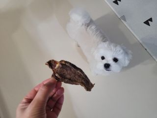 쏘이님이 올린 리뷰 사진 1