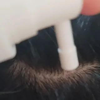 란다김님이 올린 리뷰 사진 3