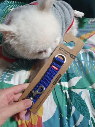 리뷰맨스님이 올린 리뷰 사진 2