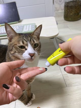 김나비님이 올린 리뷰 사진 1
