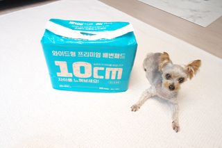 아베크 펫 와이드 프리미엄 대형 애견 강아지 배변 패드 30매 1팩 80g — 5점을 준 리뷰어가 2021년 7월 올린 사용 사진