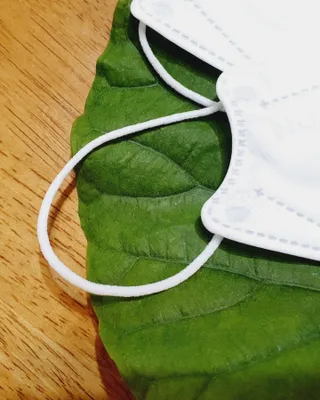 릴리님이 올린 리뷰 사진 4