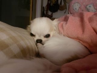 마이츄님이 올린 리뷰 사진 4