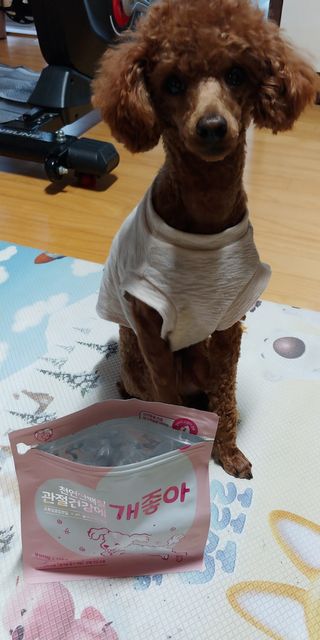 My Pet Care 천연단백질 관절건강에 개좋아 — 5점을 준 리뷰어가 2021년 2월 올린 사용 사진