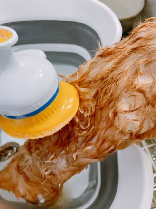 연쨩님이 올린 리뷰 사진 2