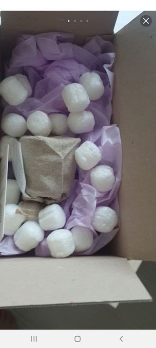 AYU25[아유트웬티파이브]다마스크로즈워터 베이스 천연 수분 촉촉 크림 — 5점을 준 리뷰어가 2021년 4월 올린 사용 사진