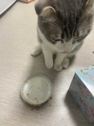 경민이님이 올린 리뷰 사진 2