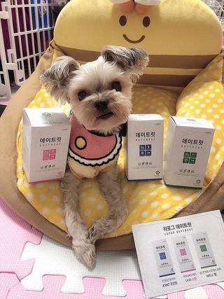 꿀님이 올린 리뷰 사진 4