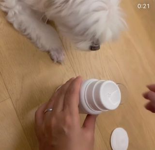 whol 키토클린 200ml - 항균항바이러스 강아지 눈 코 입 귀 세정탈취 고양이 턱드름제거 무향 워터리스 대용량 — 5점을 준 리뷰어가 2022년 9월 올린 사용 사진