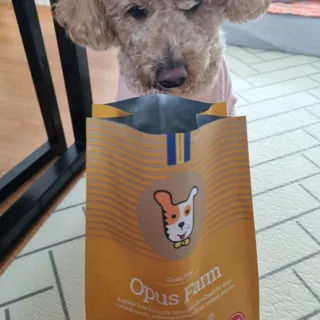 기린짱맘님이 올린 리뷰 사진 4