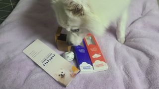 치카페카 Chicapetca — 5점을 준 리뷰어가 2022년 2월 올린 사용 사진