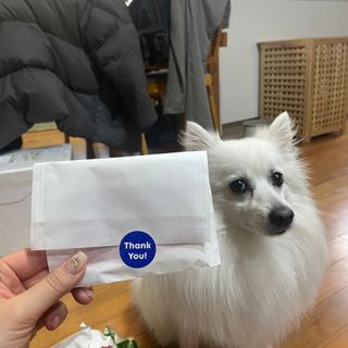 혜띠님이 올린 리뷰 사진 3
