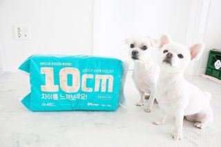 아베크 펫 와이드 프리미엄 중형 애견 강아지 배변 패드 54매 1팩 45g — 5점을 준 리뷰어가 2021년 7월 올린 사용 사진