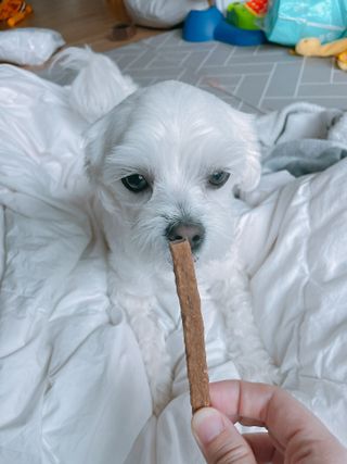 시우맘❤️님이 올린 리뷰 사진 3