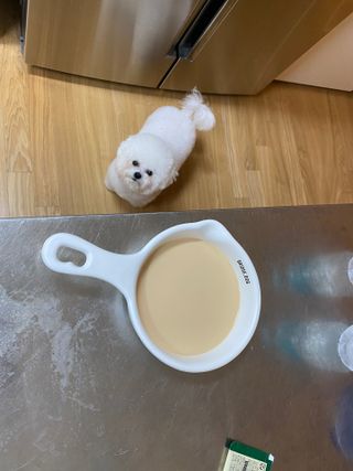 순애님이 올린 리뷰 사진 2