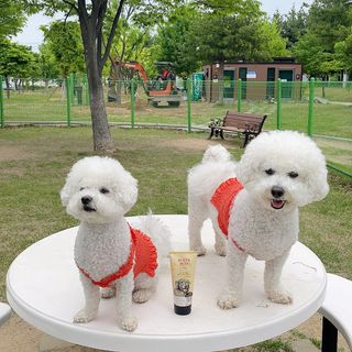 융투님이 올린 리뷰 사진 4