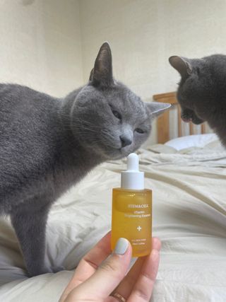 체르엠 스템앤셀 비타민 브라이트닝 에센스 30ml 1개 — 5점을 준 리뷰어가 2021년 9월 올린 사용 사진