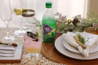 몽베스트 Montbest with Sparkling water Lemon OR Lime 20병(랜덤) — 5점을 준 리뷰어가 2023년 1월 올린 사용 사진