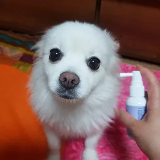 바나나님이 올린 리뷰 사진 1