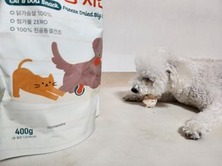 [펫시밀] 원물그대로 영양듬뿍 동결건조 왕북어트릿300g,왕치킨트릿400g,열빙어트릿300g 대용량 간식 — 5점을 준 리뷰어가 2023년 5월 올린 사용 사진