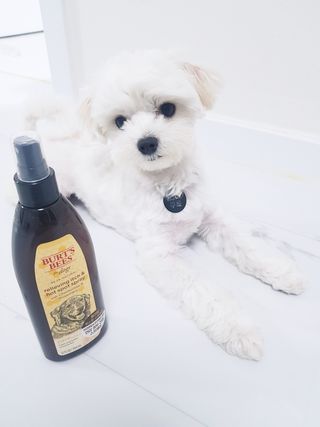 또딩님이 올린 리뷰 사진 1
