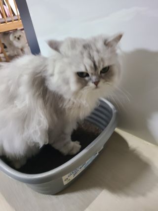 쏘이쏘이님이 올린 리뷰 사진 1