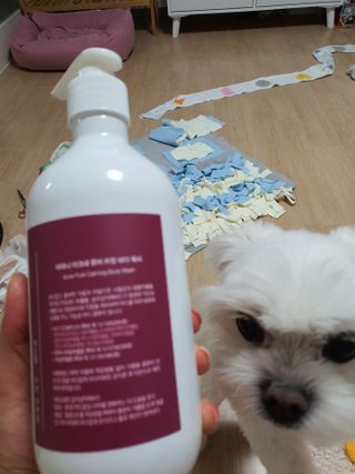 아미니 아크네 퓨어카밍 바디워시 500ml — 5점을 준 리뷰어가 2021년 7월 올린 사용 사진