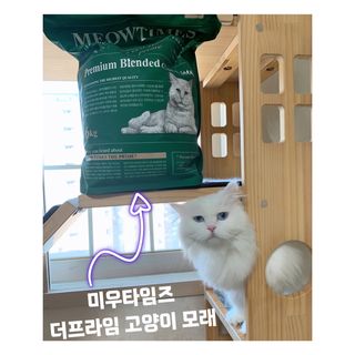 똥비님이 올린 리뷰 사진 2
