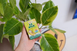 돌 Dole 후룻Mylk 바나나 135ml X32입 X1박스 — 5점을 준 리뷰어가 2022년 10월 올린 사용 사진