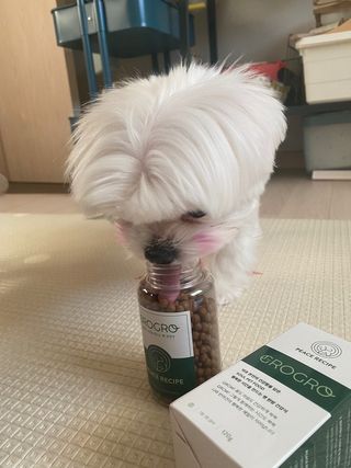 미미네님이 올린 리뷰 사진 4