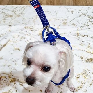 banew님이 올린 리뷰 사진 2