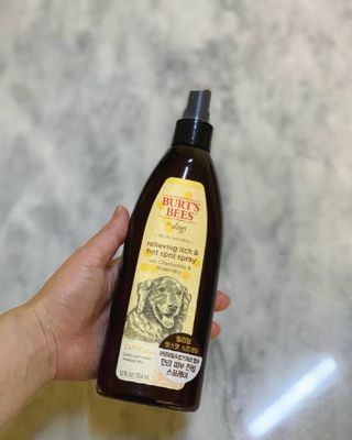 비베숑님이 올린 리뷰 사진 3