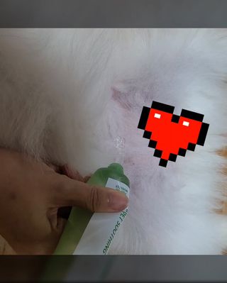 뿌쏘님이 올린 리뷰 사진 4