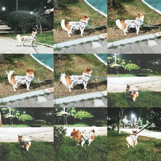 림림님이 올린 리뷰 사진 1