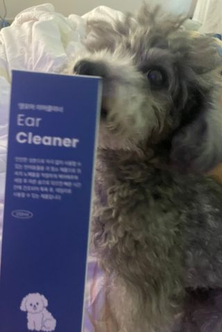 [댕모어 클리너 3종] 아이클리너 / 이어클리너 / 덴탈클리너 3종 세트 (120ml) — 5점을 준 리뷰어가 2023년 9월 올린 사용 사진