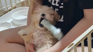쌤님이 올린 리뷰 사진 2
