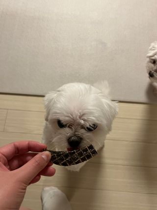 율하댁님이 올린 리뷰 사진 4