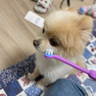 세지니힛님이 올린 리뷰 사진 4