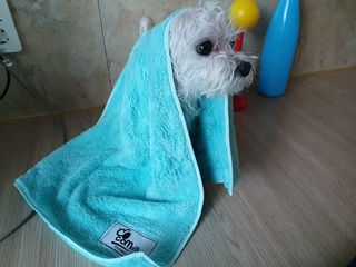 미민님이 올린 리뷰 사진 1