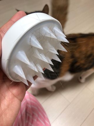 나와링님이 올린 리뷰 사진 4