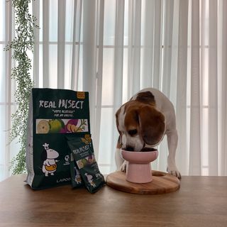[푸디웜] 라포그  리얼인섹트 웨이트밸런스 저알러지 강아지 사료  1.2KG — 5점을 준 리뷰어가 2022년 7월 올린 사용 사진